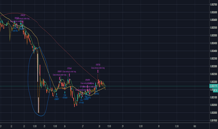 Is Dogecoin worth investing in since the price is so low for cryptocurrency?