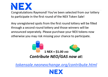 NEON Exchange ICO Analysis